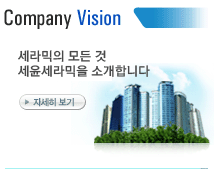 COMPANY VISION